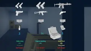 Shadow Raid (normal) with my friends! 