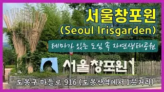 서울창포원(Seoul Irisgarden) - 테마가 있는 도심 속 생태공원, 도봉산역에서 1분 거리, 비대면 휴식과 예쁜 산책길