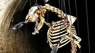 The Nickelodeon Short That Used Real Bones The DEEPEST Lost Media Iceberg Explained part 20 [marvel]
