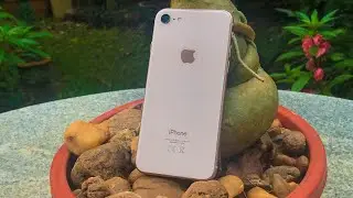 Should you spend your cash on the iPhone SE or the iPhone 8?