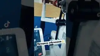 Обучение на свиных глазах😮 
