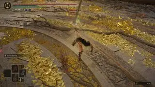 ELDEN RING +64 virtual levels bug