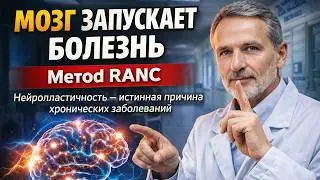 №1138  Нейропластичность, - причина хронических заболеваний, и Метод RANC, как способ их устранения.