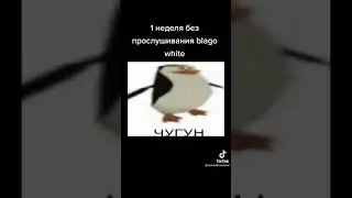 один день без благо вайт… 