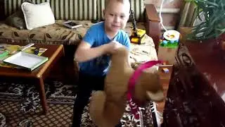 Тёма1