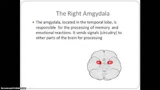 Psychology of Success: Lecture 4