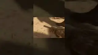 А что если бы MW 2 закончилась так?!