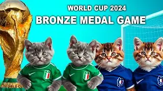 LETS UNLEASH CATS KITTENS WORLD CUP GAME 7! BRONZE MEDAL MATCH