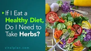 If I Eat a Healthy Diet, Do I Need to Take Herbs? | Vital Plan Webinar Short