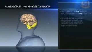 Презентация секции