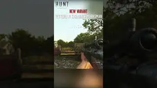 NEW VARIANTS 