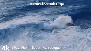 The Most Relaxing Oceans Sounds to Sleep -Most Relaxing Waves Ever-Natural Sounds Clips