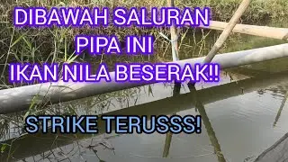 BEKAS BANJIR IKAN NILA BESERAK!!#mancing #strike #strike #mancingnila