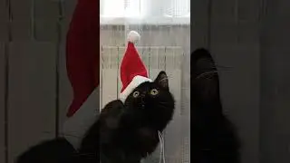 Скоро будет Новый год❄❄❄