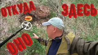 XP ORX!!! Удивительная находка ждала меня в лесу.
