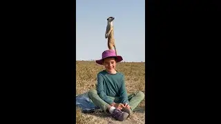 Kids Wild Africa Adventure! 