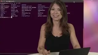 HakTip - Linux Terminal 101 - How to use echo