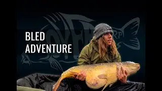 CARPFISHING | BLED ADVENTURE