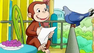 Jorge el Curioso en Español Castellano🐵Para Palomas🐵El Mono Jorge 🐵Dibujos Animados Para Niños