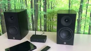 How to connect Stereo Hub with Silverback speakers and WiFi