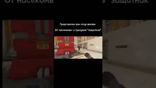 Мой дом моя крепость 