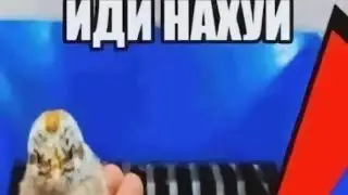 ВЫРЕЗАННЫЙ ФРАГМЕНТ ИЗ ЖИЗНИ КИРИЛЛА ТЕРПИЛОВА 19.05.2016 ГОДА