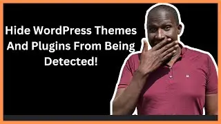 How To Hide Themes And Plugins From Detectors
