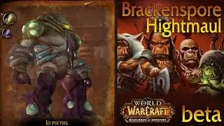Стрим. Бурогриб. Brackenspore - Highmaul. WoD Beta #12 Raid.
