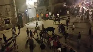 Toro embolado de los Cerezos, 24-8-24