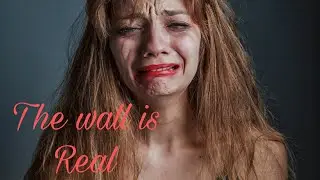 The wall is undefeated #mgtow #mgtowmoments #viralvideo #modernwomen