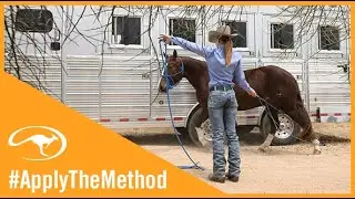 Training Tip: What to do When You Unload Your Horse Off the Trailer