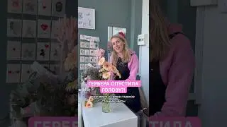 ГЕРБЕРА ОПУСТИЛА ГОЛОВУ?!  #цветы #flowers #букет #florist #обзор