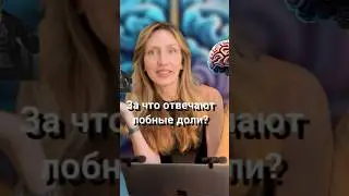 Подробности в описании и в полной версии видео 