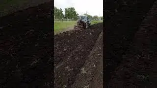 #лпх