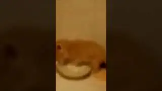 😱😱😱😱😱😱😱😱😱😱😱😱😱