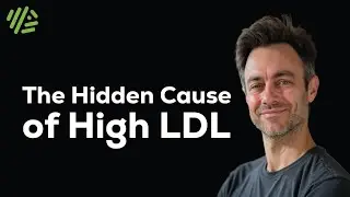 The Hidden Cause of High LDL No One Knows About