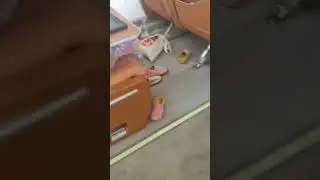 Бизнес Джет в Турцию, комфортный перелёт и шикарный отель  WhatsApp +79150368531