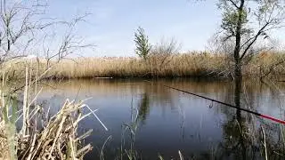 Карась на Poplapopper