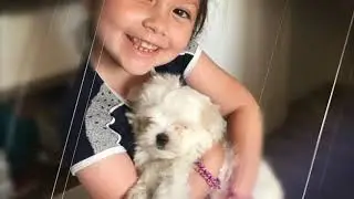 Belinha 5 anos