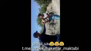 Prikollar dodasiku