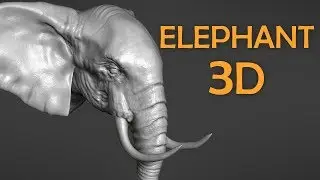 Elephant - Zbrush