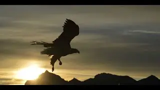 Göklerde Kartal Gibiydim - Orhan Ağrıdağ
