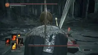 Оцейрос, Снедаемый король(ds3 xbox one)