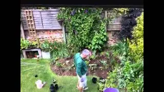 Planting Up The Spring Flower Bed For Summer - in under 2 minutes