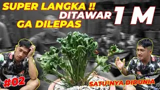 #EPS02