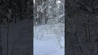 ЗАЧЕМ ПУТЕШЕСТВОВАТЬ В ДОМЕ НА КОЛЁСАХ? 🤔