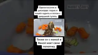 Мемы по ТикТоку #996