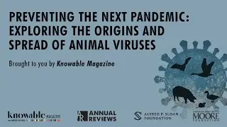 Preventing the Next Pandemic: Exploring the Origins and Spread of Animal Viruses