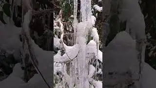 O'zbek va xorij kinolari yangilar faqat bizda 🎬KANALGA OBUNA BO'LISHNI UNUTMANG 📌