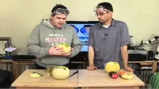 What is a Trojan Horse? - Lab Rats #95